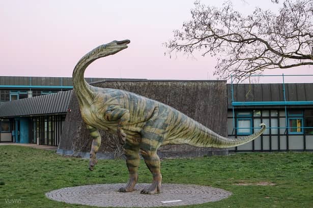 Museum Löwentor Dino