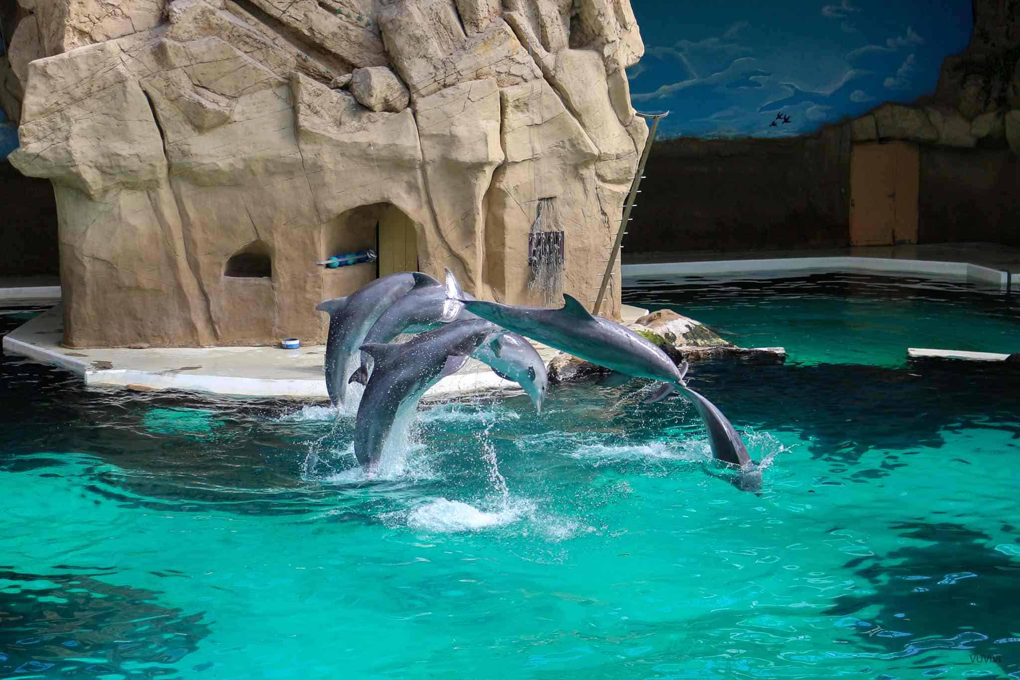 Zoo Duisburg